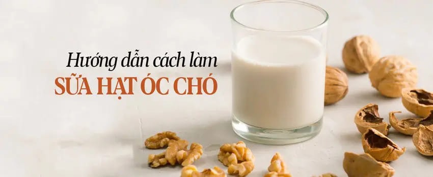 cách làm sữa gạo lứt rang hạt óc chó