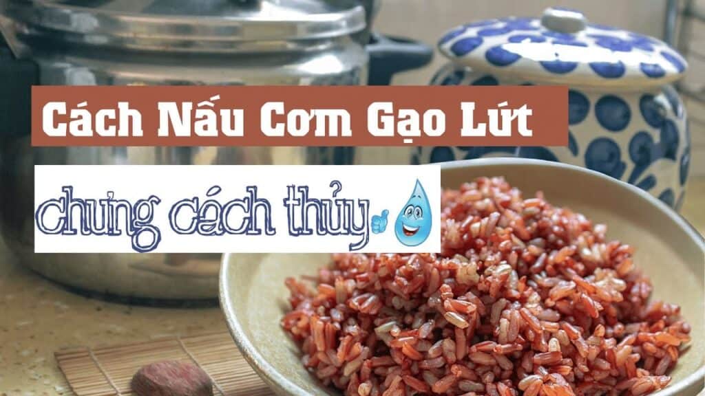 cách nấu gạo lứt huyết rồng bằng cách chưng thuỷ