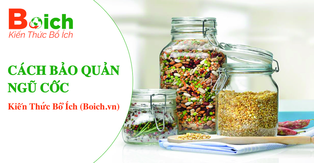 Cách Bảo Quản Ngũ Cốc Boich.vn