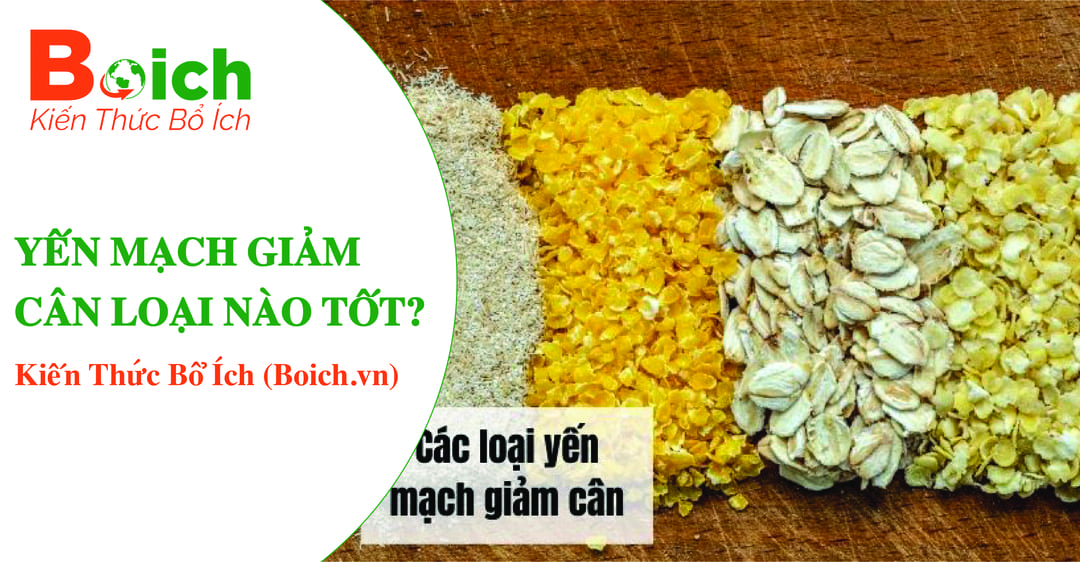 yến mạch giảm cân loại nào tốt - boich.vn