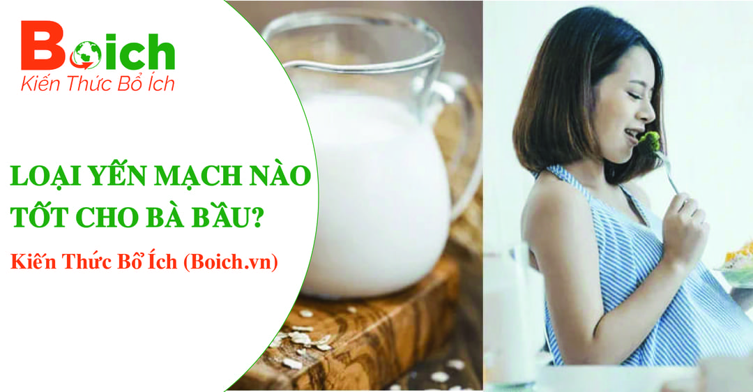 Loại yến mạch nào tốt cho bà bầu - boich.vn