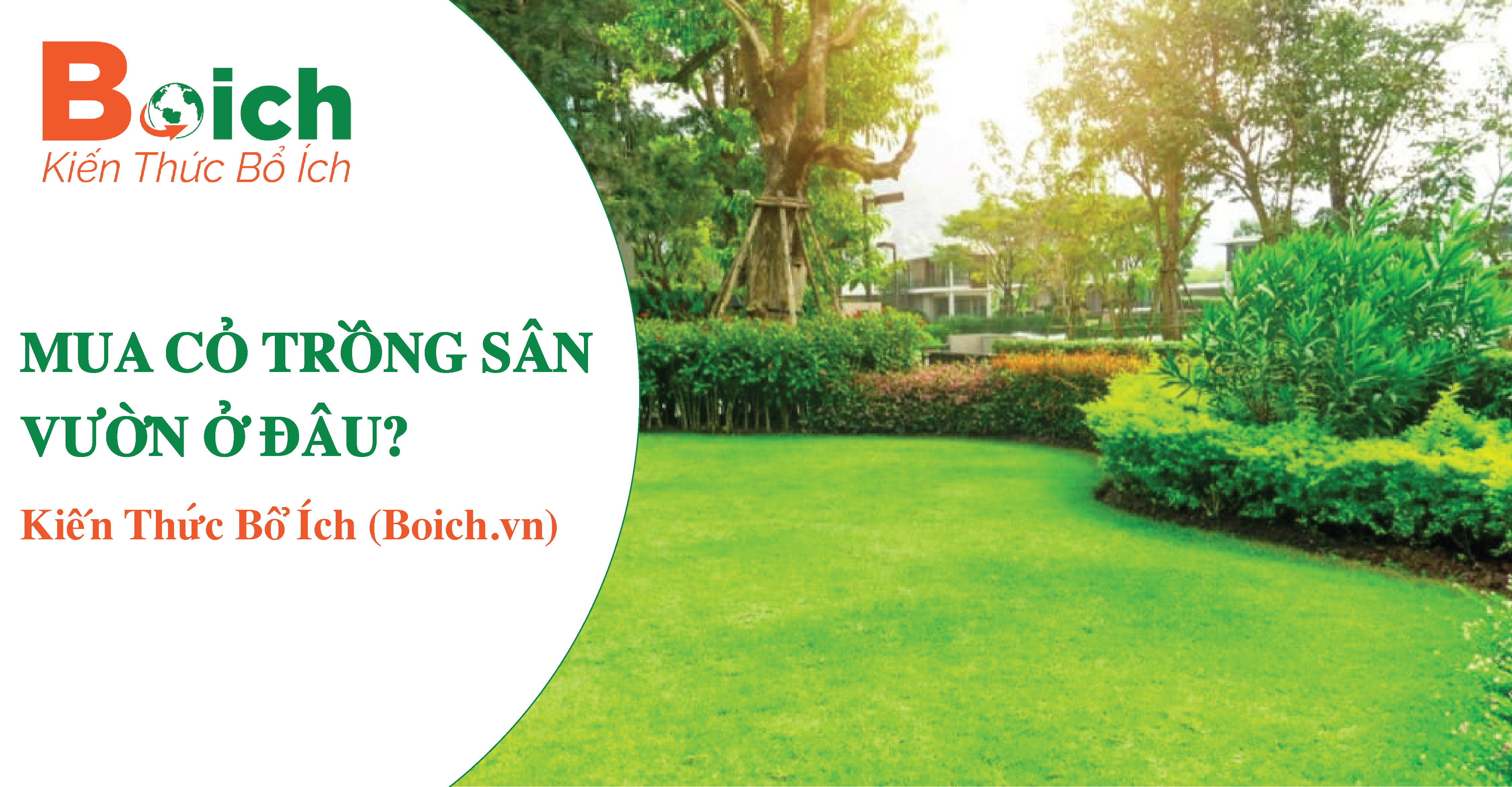 mua cỏ trồng sân vườn ở đâu - boich.vn