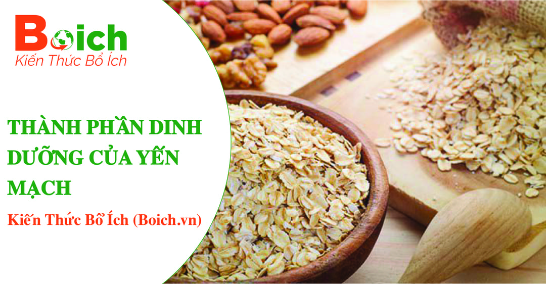 thành phần dinh dưỡng của yến mạch - boich.vn