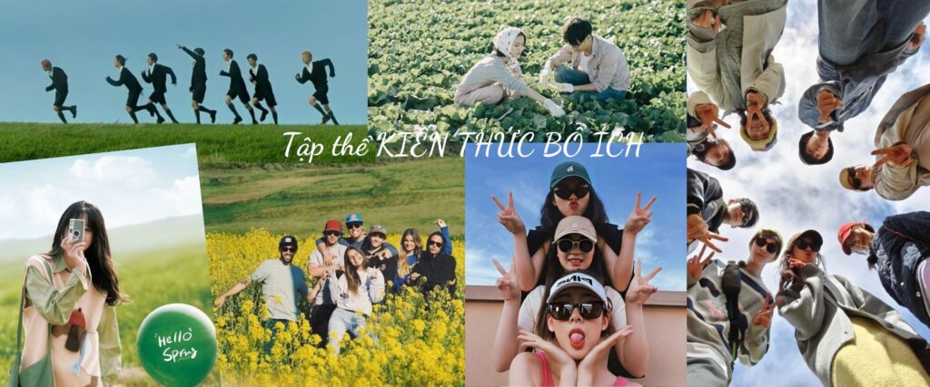 Banner Boichvn